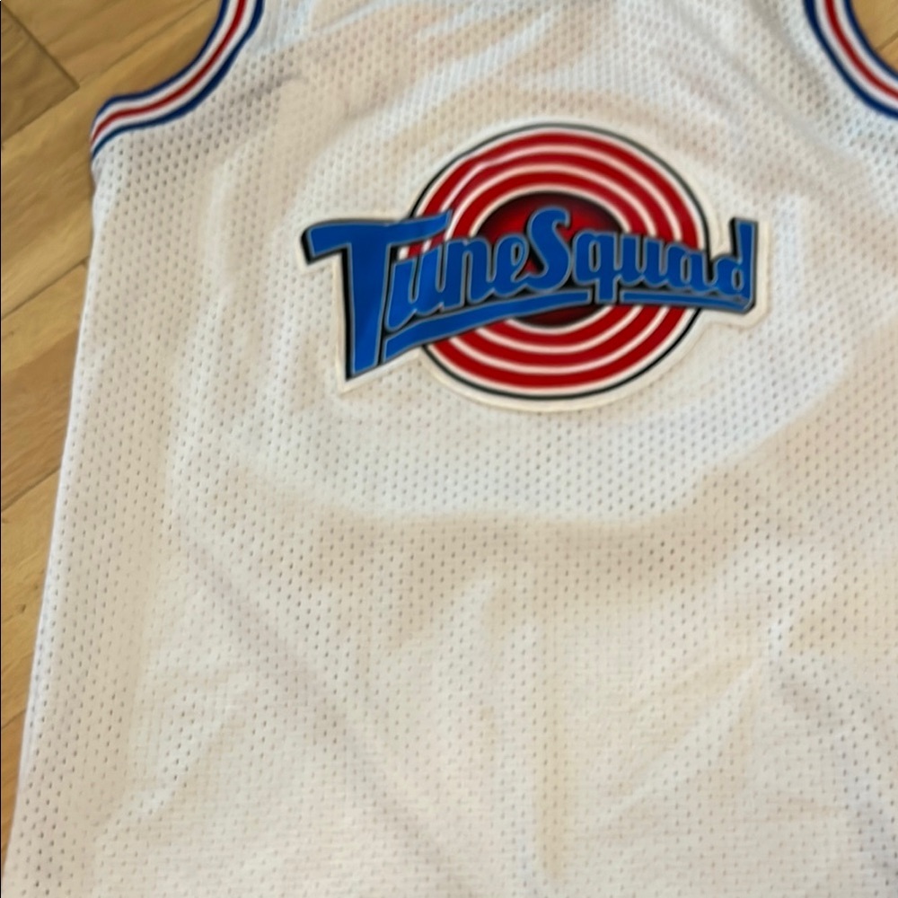 Jordan White and Blue Basketball Jersey